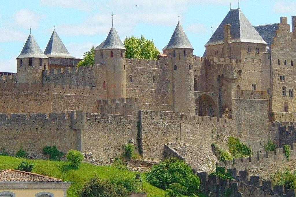 Spacieux Appartement Au Pied De La Cite Medievale Carcassone Exterior photo